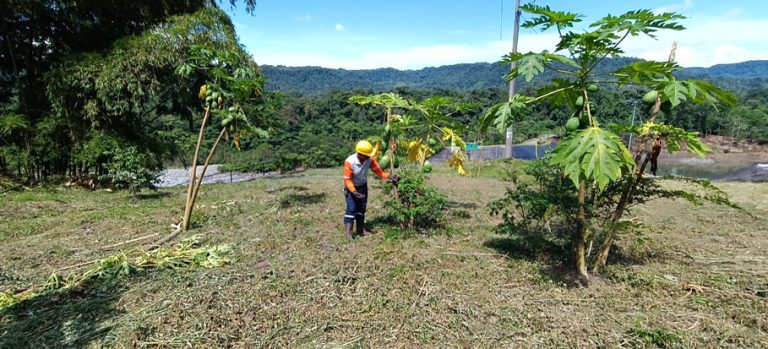 Campa as De Reforestaci n Hidroalto best-restaurants-in-virginia-city